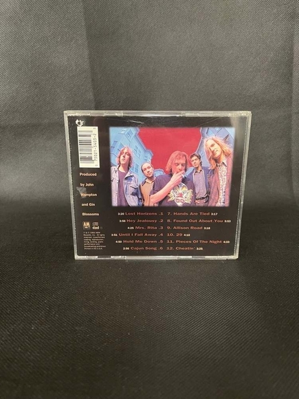 CD Gin Blossoms - New Miserable Experience - Picture 2 of 2